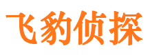 沿滩侦探公司